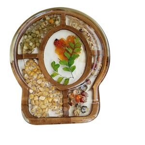Vintage Lucite Acrylic Trivet Pressed Flowers Lady Bug Beans Seeds Mid Century‎